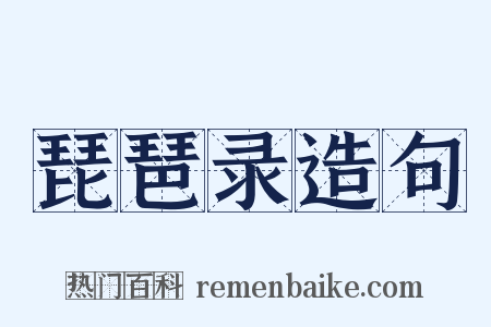 琵琶录造句是什么意思的图片